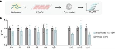 The effects of Pediococcus acidilactici MA18/5M on growth performance, gut integrity, and immune response using in vitro and in vivo Pacific salmonid models